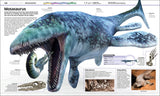 Knowledge Encyclopedia Dinosaur!