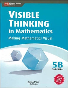 Visible Thinking in Mathematics 5B (2nd edition)