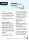 Excel Essential Skills - Science Revision Workbook Year 10 Ada's Book