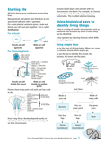 Excel Essential Skills - Science Revision Workbook Year 8 Ada's Book