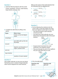 Excel Essential Skills - Science Revision Workbook Year 9 Ada's Book