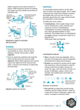 Excel Essential Skills - Science Revision Workbook Year 9 Ada's Book