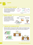 Excel Illustrated Science Dictionary Years 5–8 Ada's Book