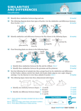 Excel SmartStudy - Science Year 7 Ada's Book