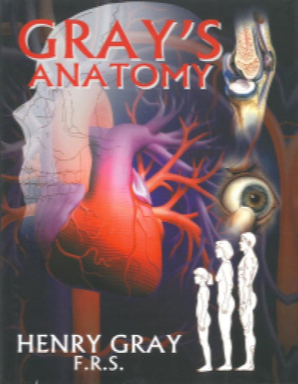 Gray's Anatomy Ada's Book